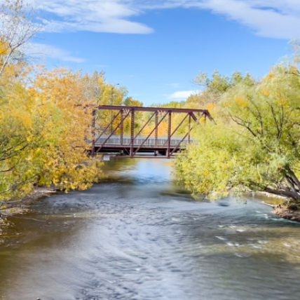 A bridge over a river in fall